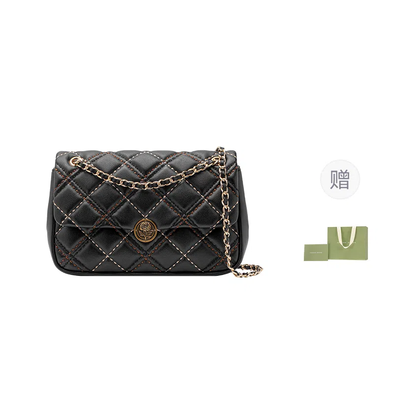 Vanessa Hogan Chain Bag