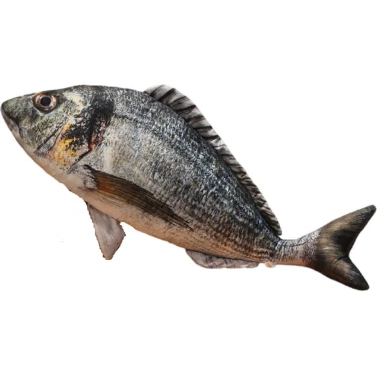 LEWAHON 40cm60cm80cm100cm