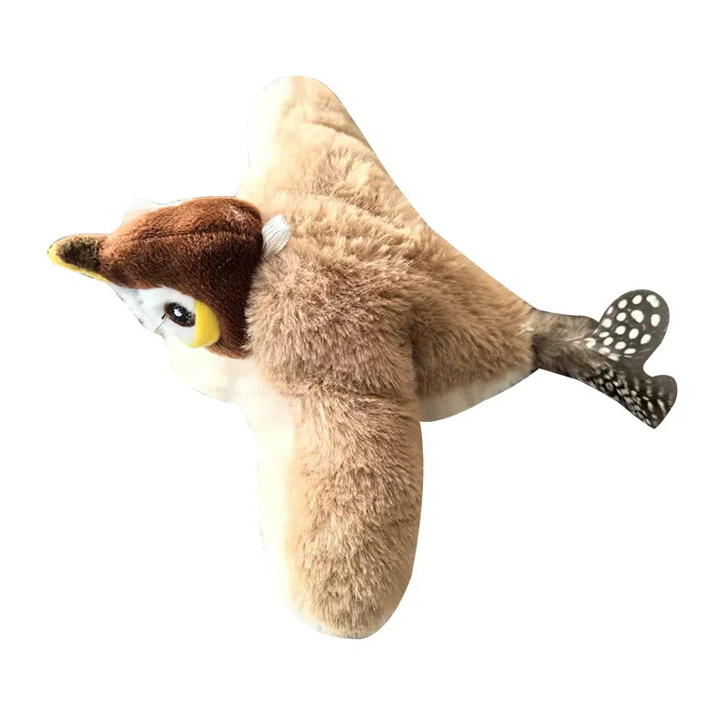 24cm