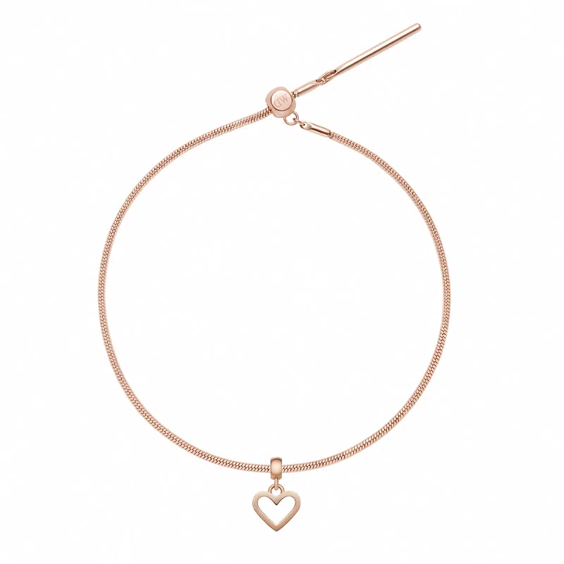 Daniel Wellington DW CHARMS