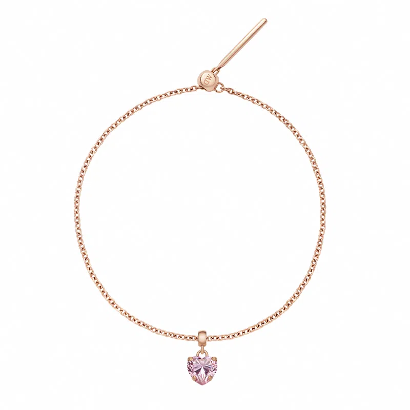 Daniel Wellington DW CHARMS