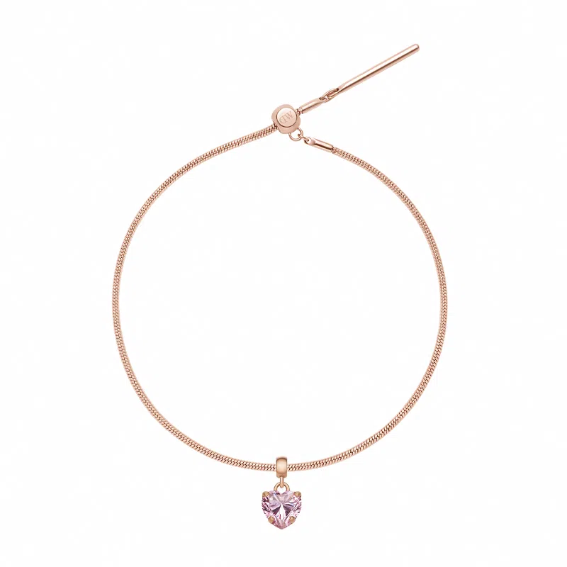 Daniel Wellington DW CHARMS