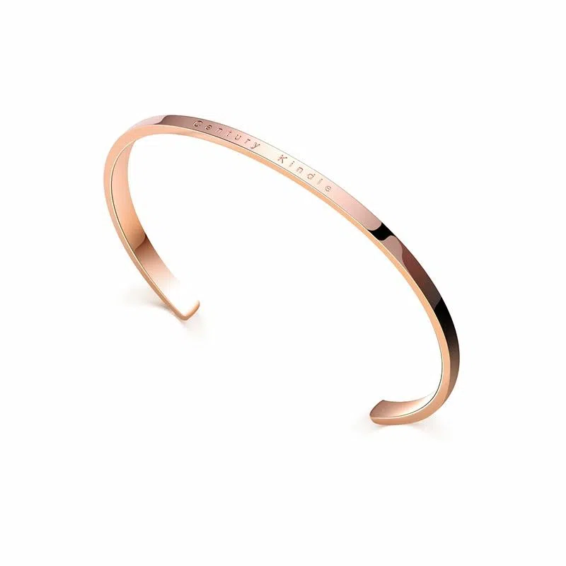 CENTURYKINDLE ck ins 316L