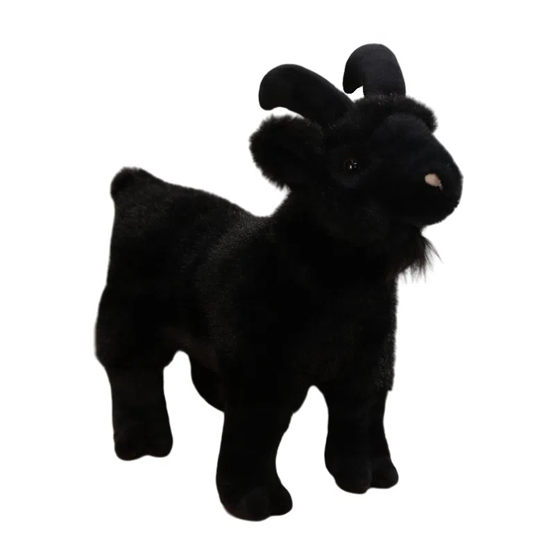 lionf 30cm