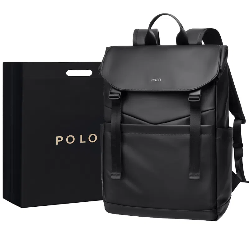 POLO 17.3