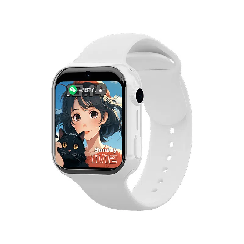 LEAPRUN S10Pro app WIFI