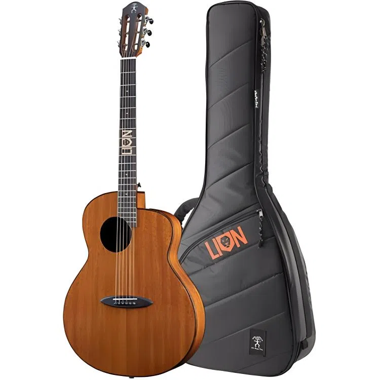 ANUENUE LOGTLMGT() 41 41