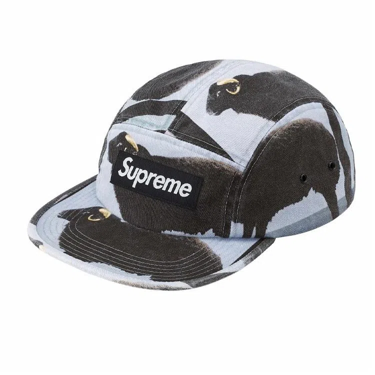 Supreme Damien Hirst Camp Cap