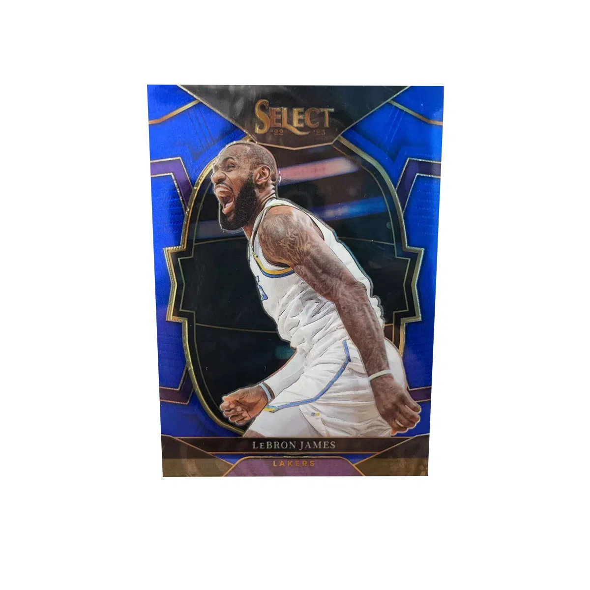 PANINI 2022-23 SELECT
