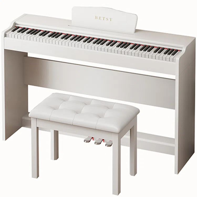 BETSY B313() Betsy B313(