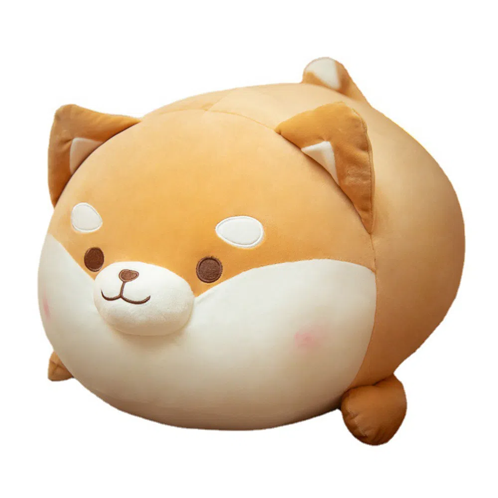 35cm50cm