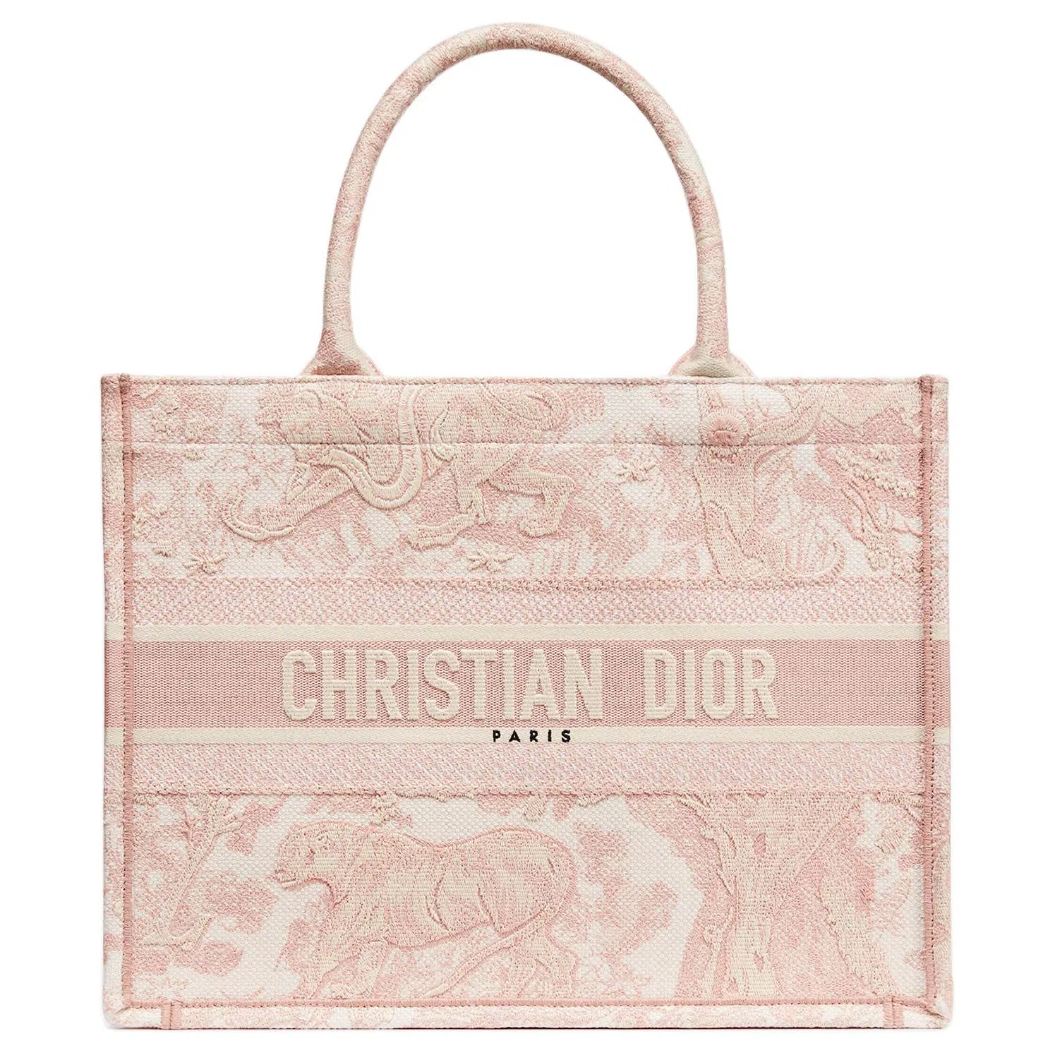 DIOR BookTote Logo Tote