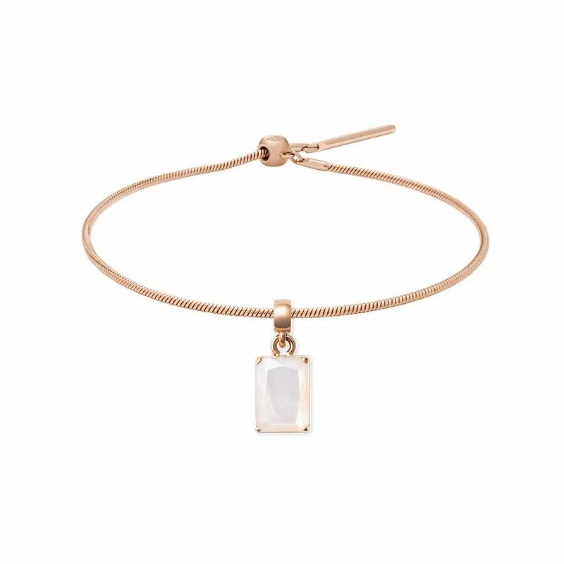 Daniel Wellington CHARMS