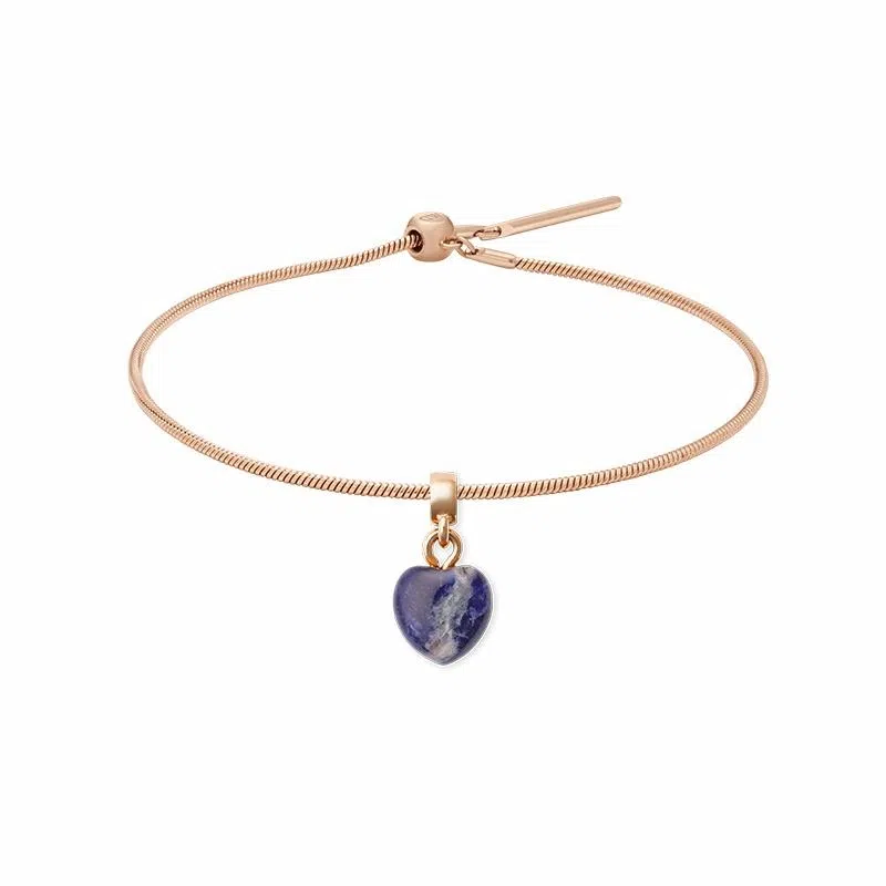 Daniel Wellington CHARMS