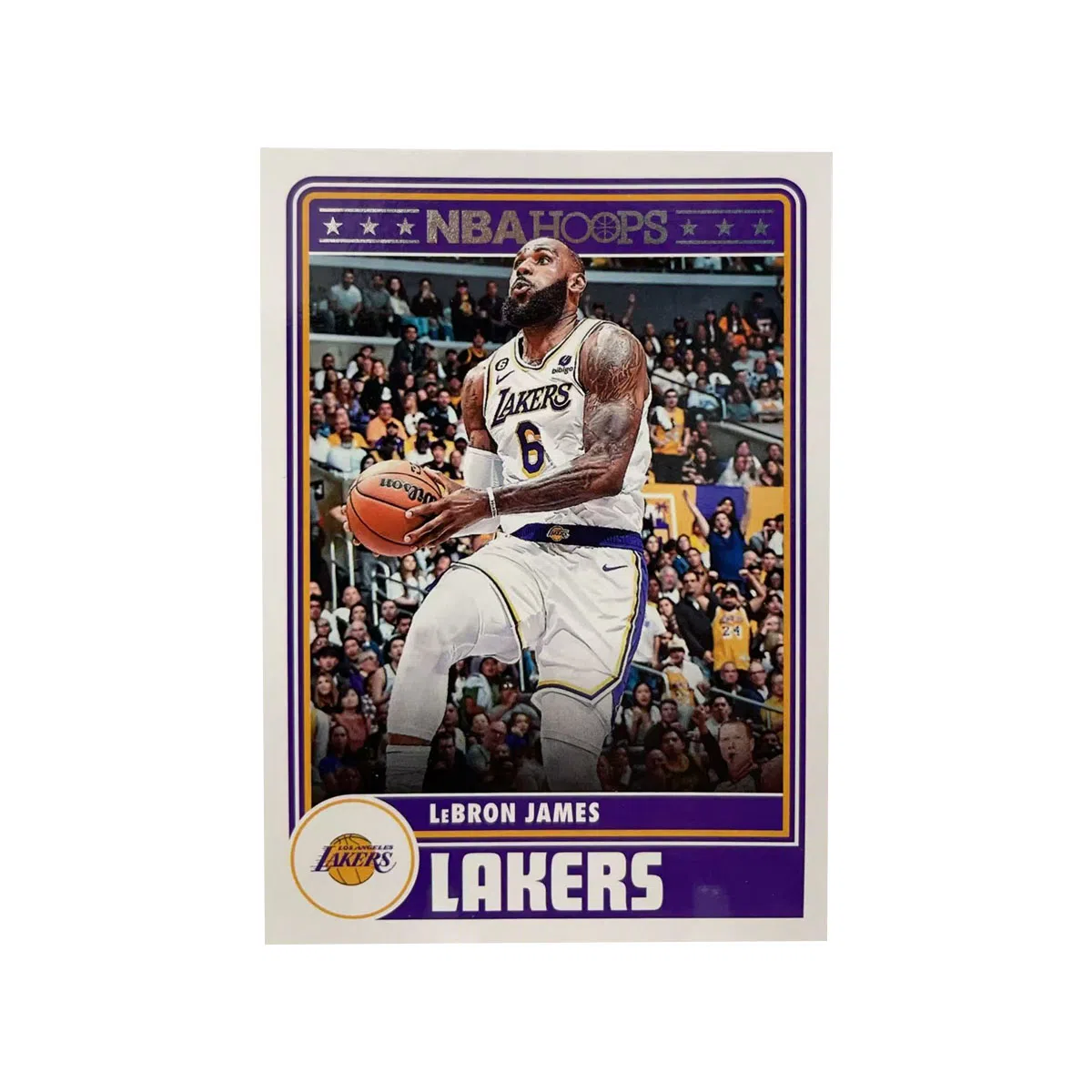 PANINI 2023-24 HOOPS