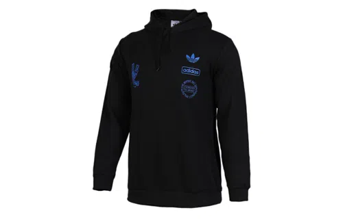 adidas originals Graphic Hoody
