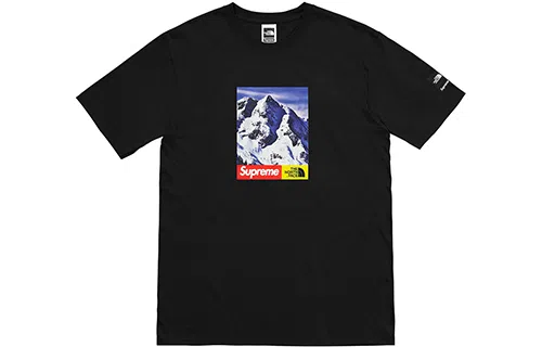 Supreme x The North Face FW17 Snow Mountain Tee Black