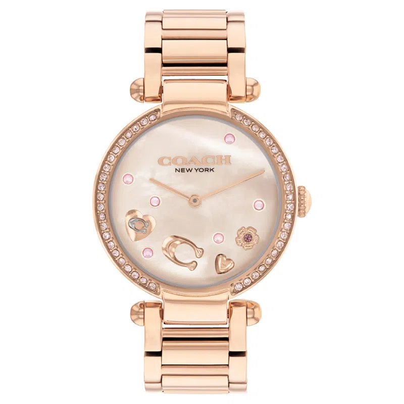 COACH CARY C 14504266