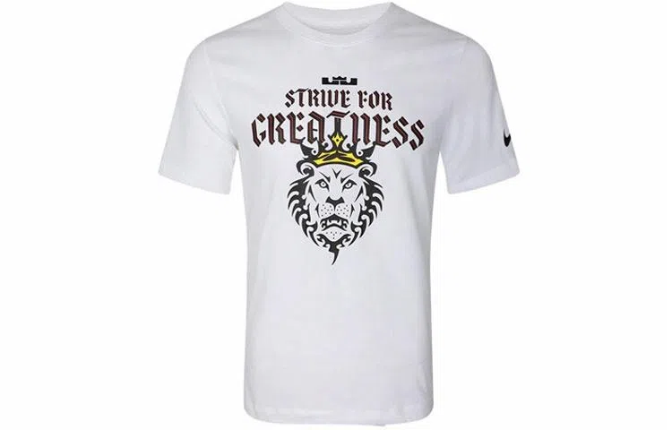 Nike Dri-FIT Lebron Strive For Greatness T