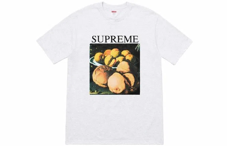 Supreme FW18 Still Life Tee Ash Grey