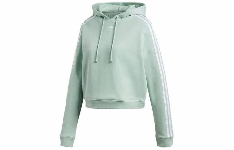 adidas originals Cropped Hoodie