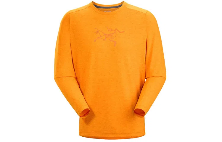 Arcteryx Cormac Logo LS T