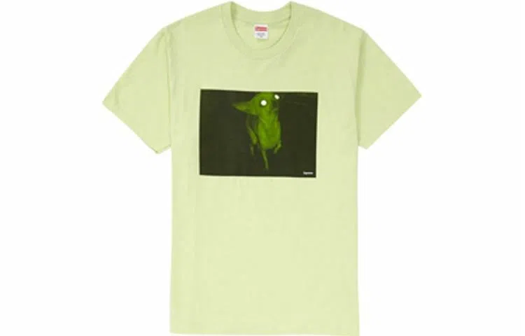 Supreme FW18 Chris Cunningham Chihuahua Tee Pale Mint