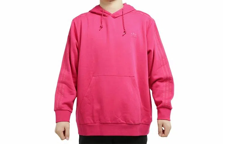 adidas originals Wntrzd Hoodle