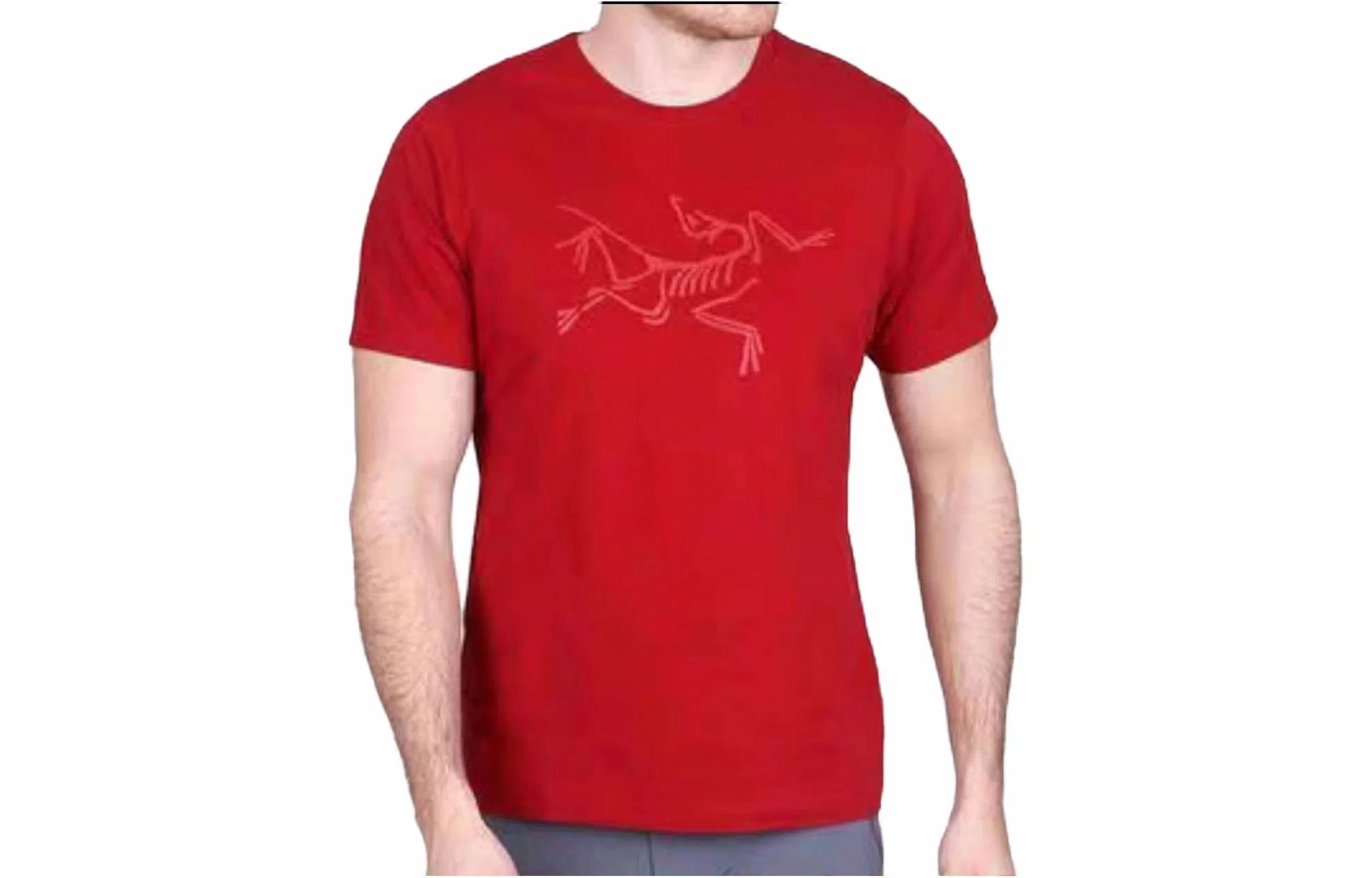 Arcteryx Archaeopteryx T-Shirt