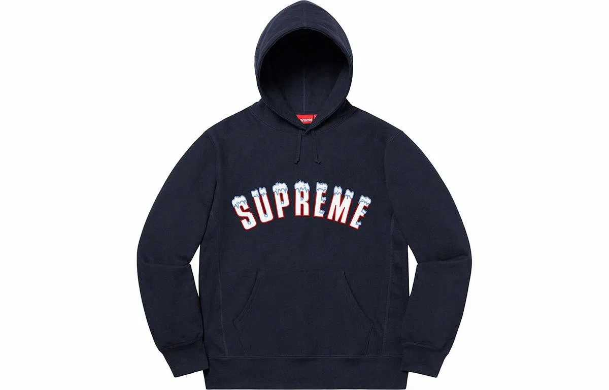 Supreme FW20 Week 1 Icy Arc Hooded Sweatshirt Logo