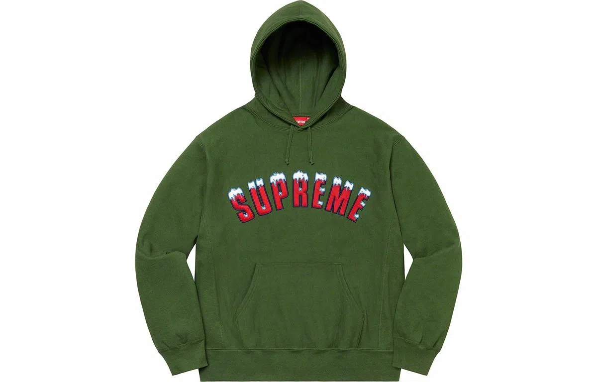 Supreme FW20 Week 1 Icy Arc Hooded Sweatshirt Logo