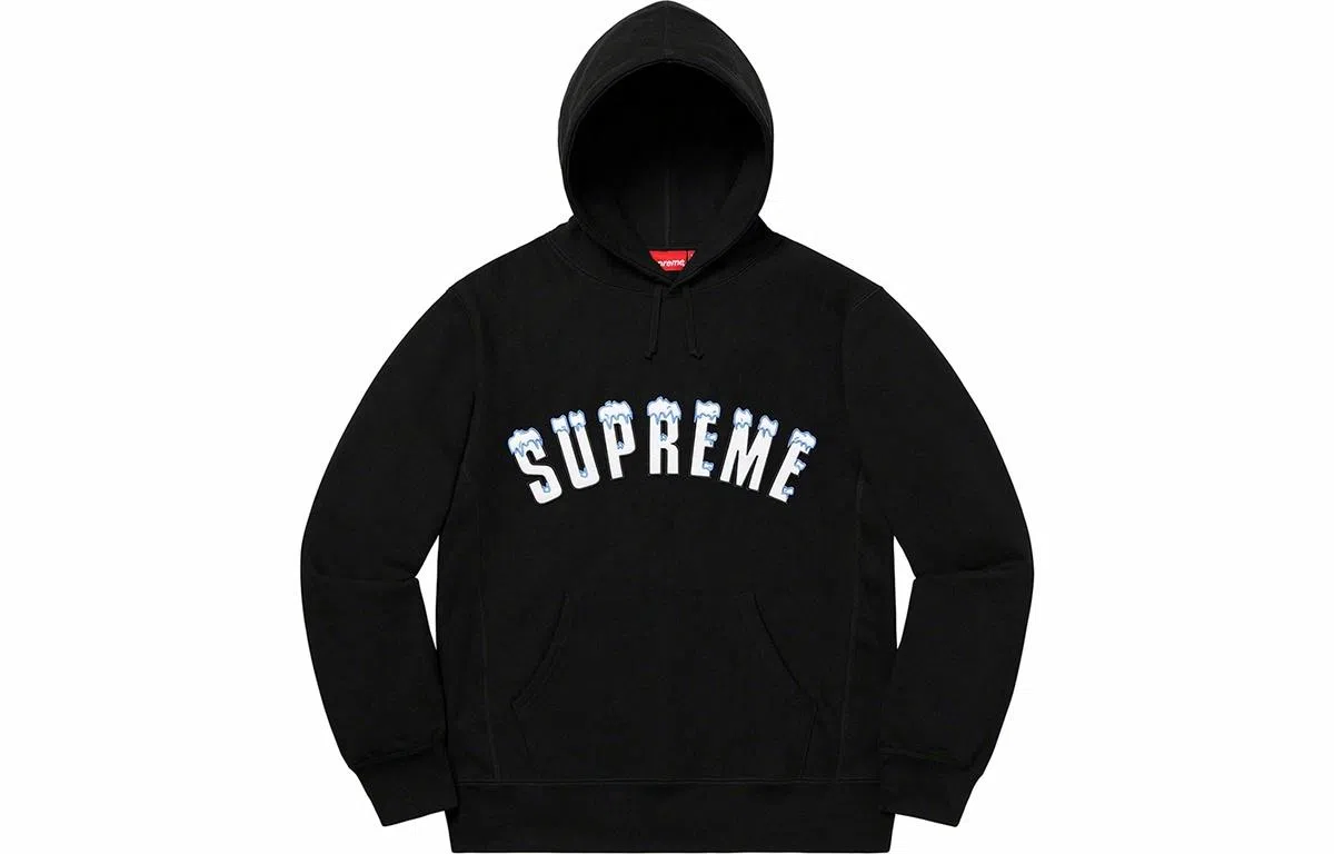 Supreme FW20 Week 1 Icy Arc Hooded Sweatshirt Logo