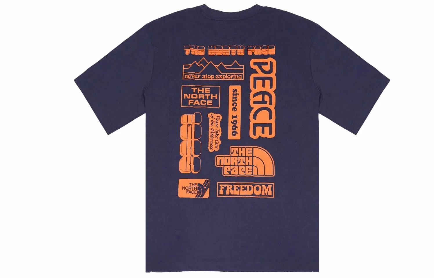 THE NORTH FACE vanlifeT