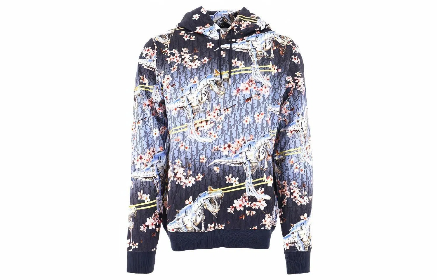 Dior x Sorayama Floral Print Sweatshirt
