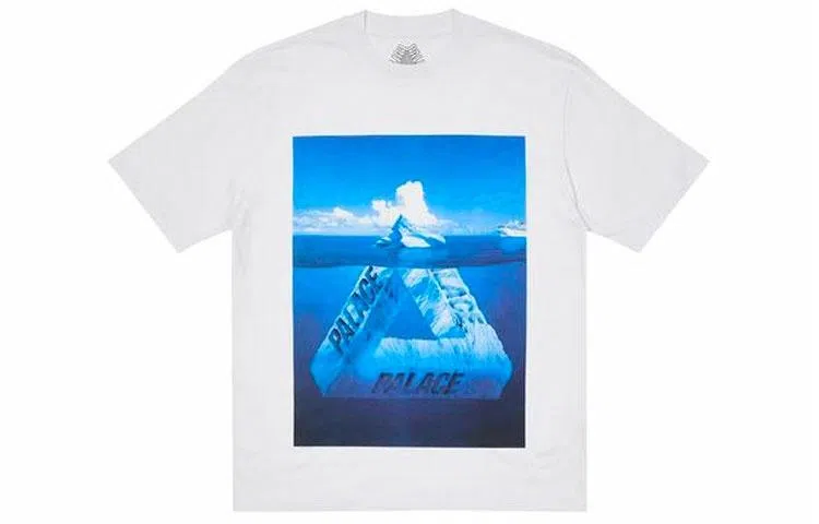 PALACE Berg-Ferg T-Shirt Grey Marl LogoT