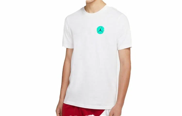 Jordan LEGACY AJ13 T