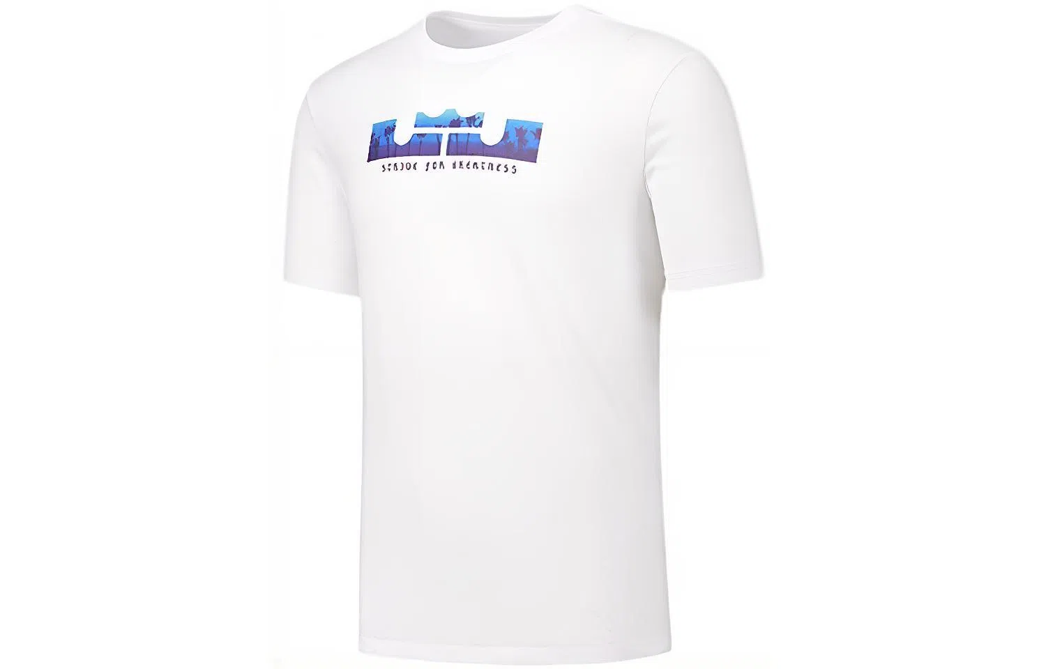 Nike Dri-Fit LeBron