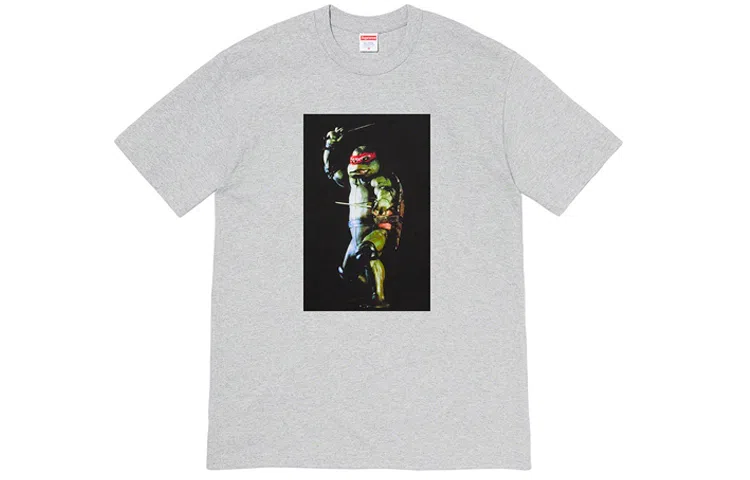 Supreme Raphael Tee