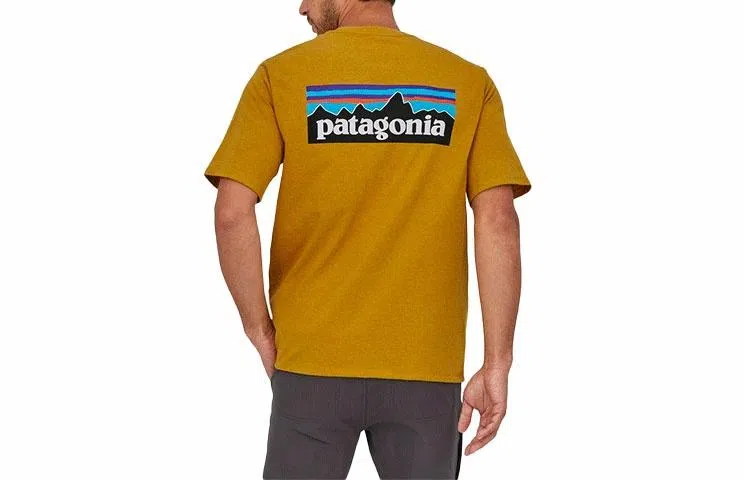 patagonia P-6Logo Responsibili LogoT