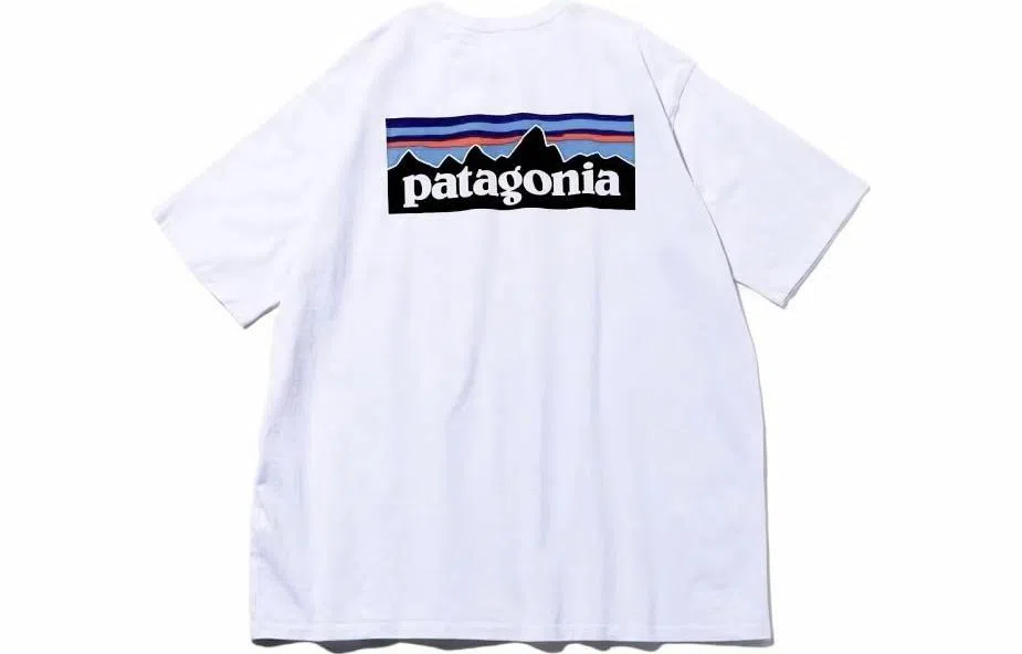 patagonia P-6Logo Responsibili LogoT