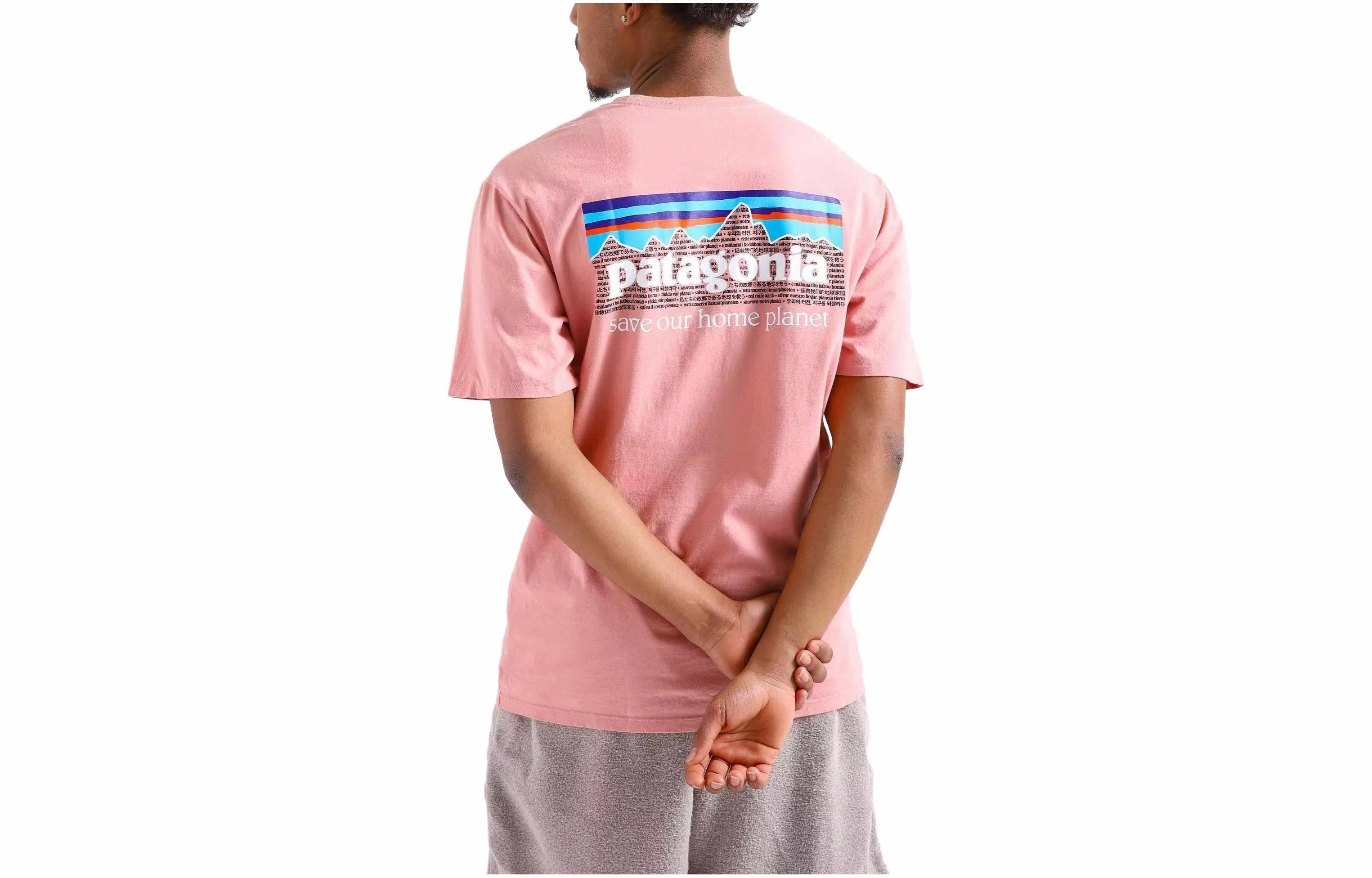 patagonia P-6 Mission Organic T-shirt LogoT