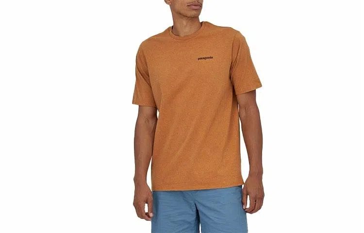 patagonia P-6Logo Responsibili LogoT