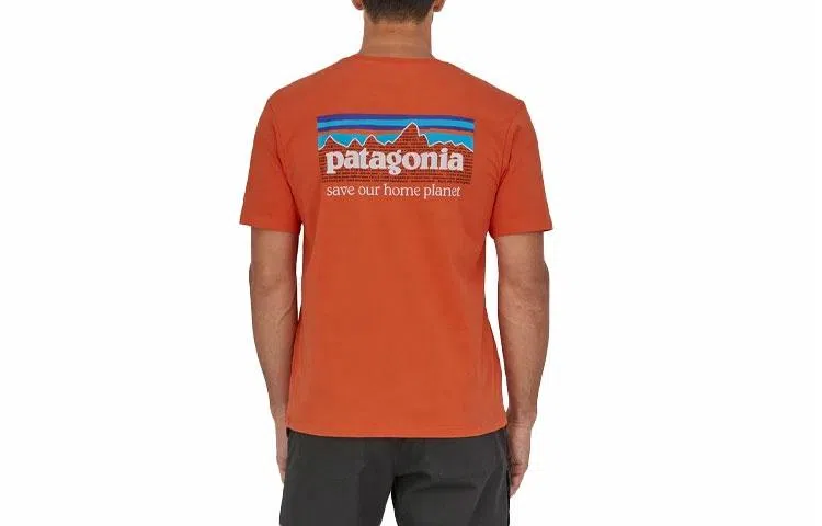 patagonia P-6 Mission Organic T-shirt LogoT