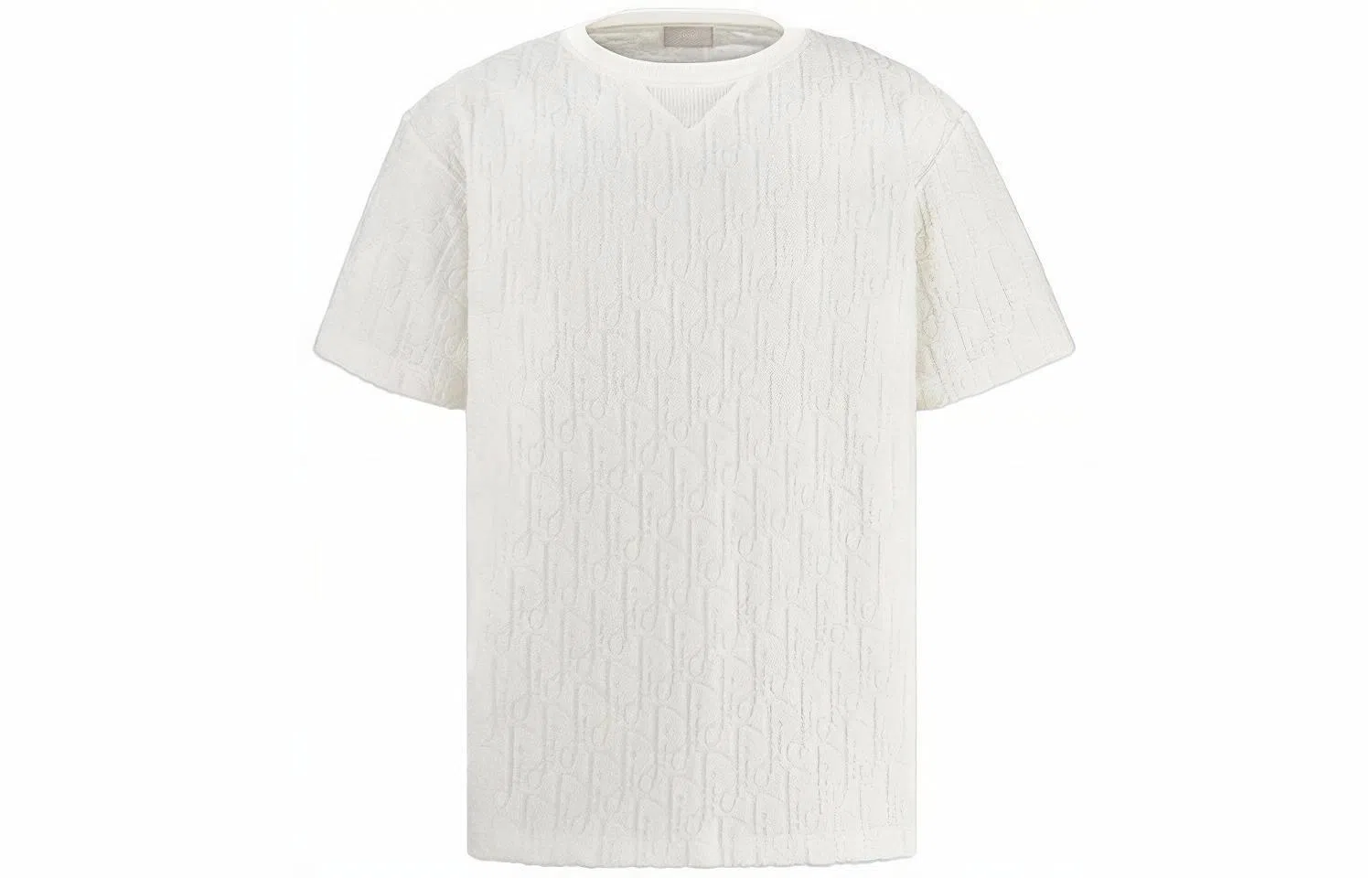 DIOR ObliqueT