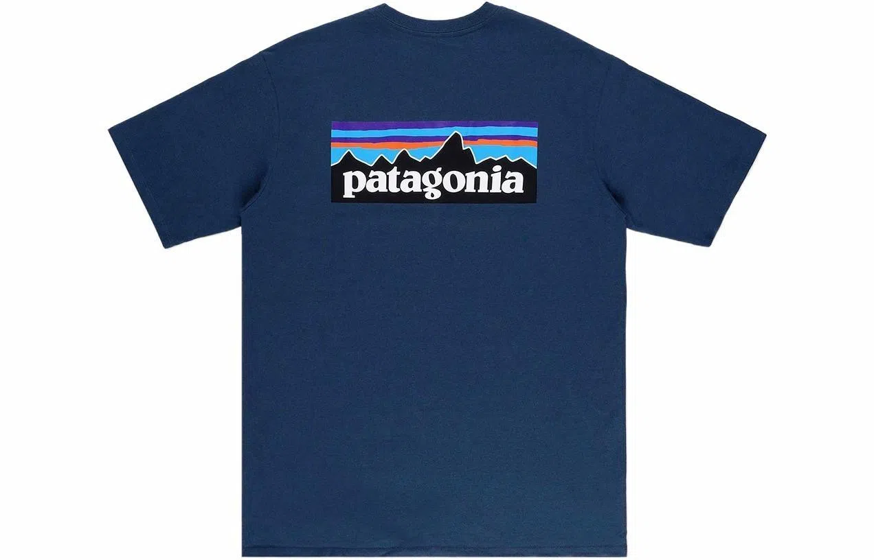 patagonia P-6Logo Responsibili LogoT