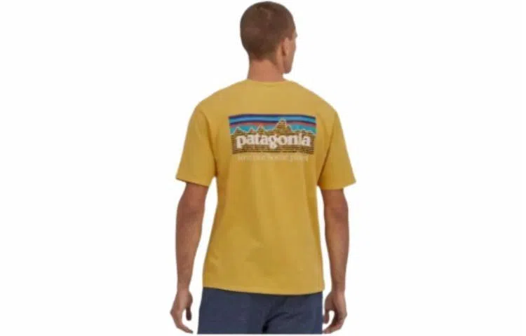 patagonia P-6 Mission Organic T-shirt LogoT