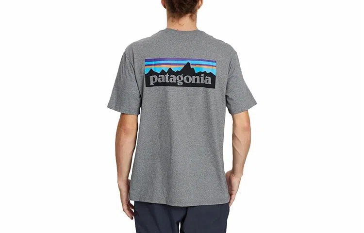 patagonia P-6Logo Responsibili LogoT