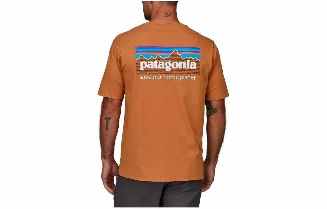patagonia P-6 Mission Organic T-shirt LogoT