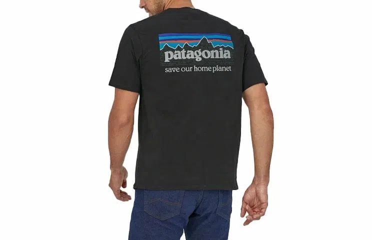 patagonia P-6 Mission Organic T-shirt LogoT