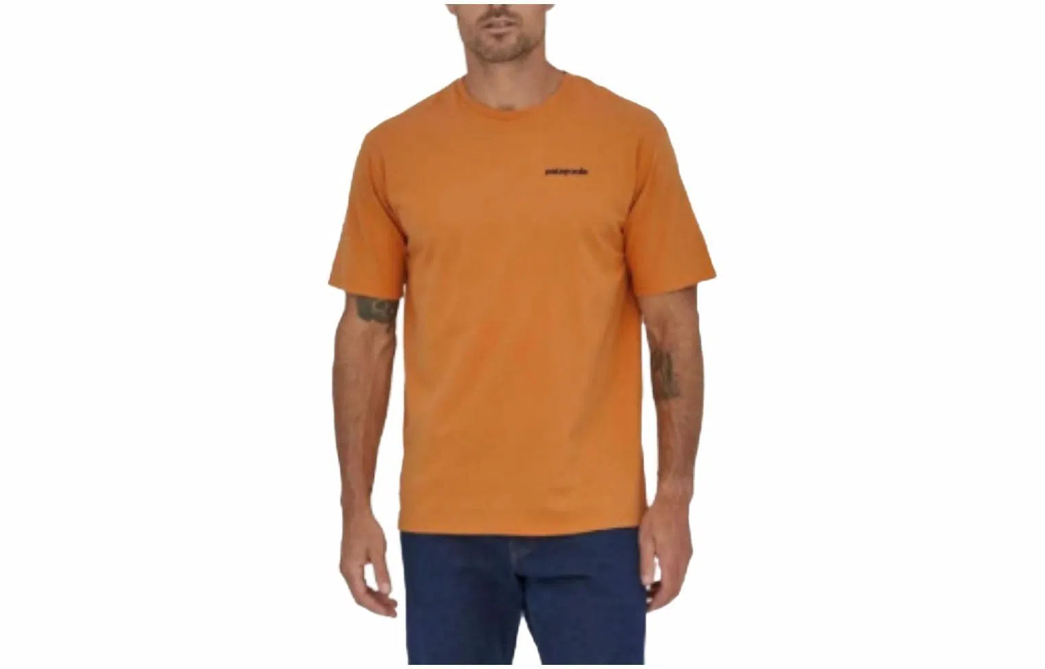 patagonia P-6 Mission Organic T-shirt LogoT